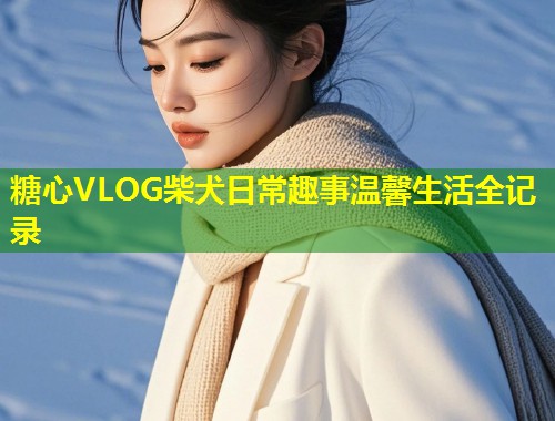 糖心VLOG柴犬日常趣事温馨生活全记录