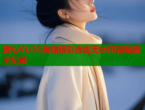 糖心VLOG传媒精彩合集无水印完整版全纪录